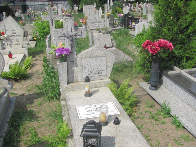 Grób Zygmunt Głodziński