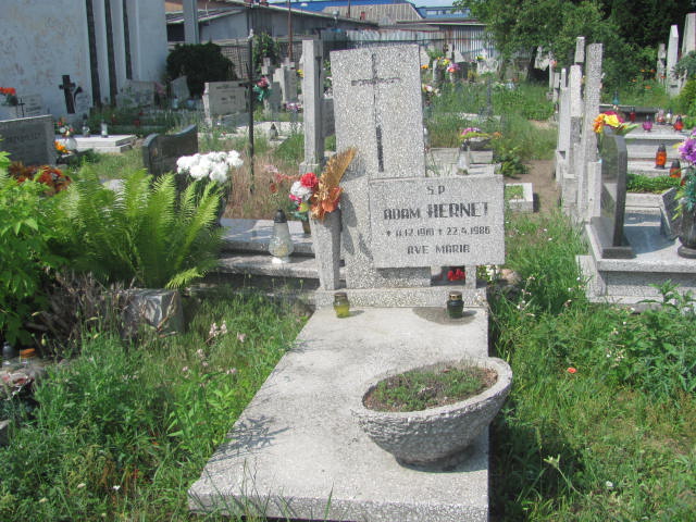 Grób Adam Hernet