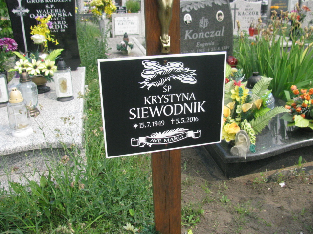 Janusz Siewodnik 1945 Bydgoszcz - Grobonet - Wyszukiwarka osób pochowanych